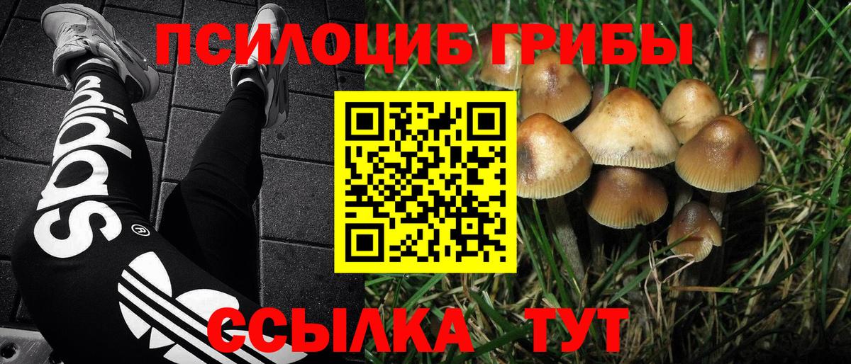 Галлюциногенные грибы Cubensis  Псилоцибиновые грибы ЛСД  Вход с VPN  Бердск 